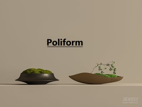 Modern Moss Potted Decor Set 3D model