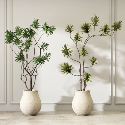 Set of 2 Modern Potted Indoor Green Plants 3D model