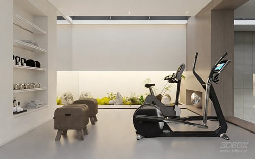 Modern Basement Home Gym Interior Scene 3D model