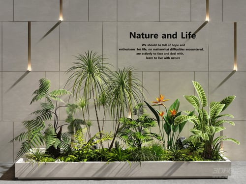 Indoor Tropical Plant Arrangement Planter Greenery Decor 3D model