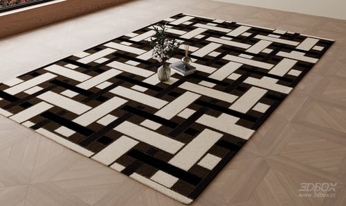 Geometric French Vintage Style Carpet 3D model