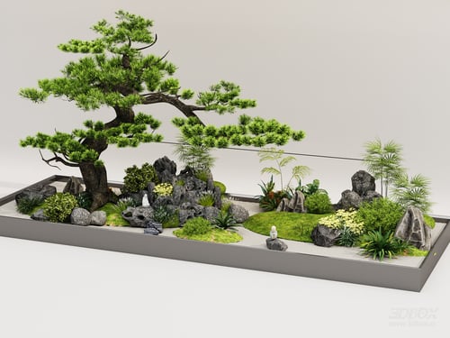 Indoor Zen Garden Landscape with Pine Tree and Rockery 3D model