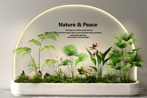 Indoor Tropical Plant Landscape Arrangement 3D model