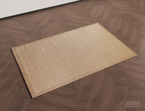 Mid Century Woven Beige Jute Carpet 3D model