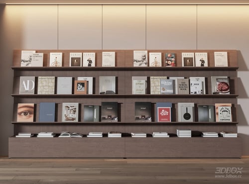 Modern Wooden Wall Book Shelf with Decorative Books 3D model