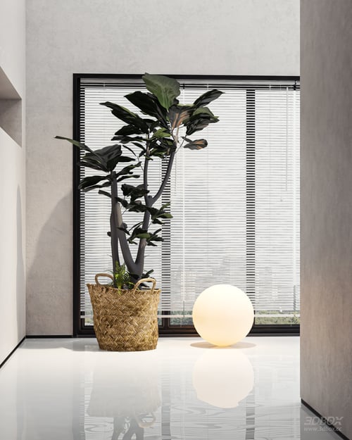 Modern Indoor Potted Foliage Plant with Woven Basket 3D model
