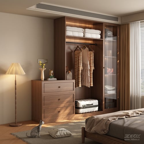 Mid Century Modern Wooden Wardrobe with Glass Door 3D model