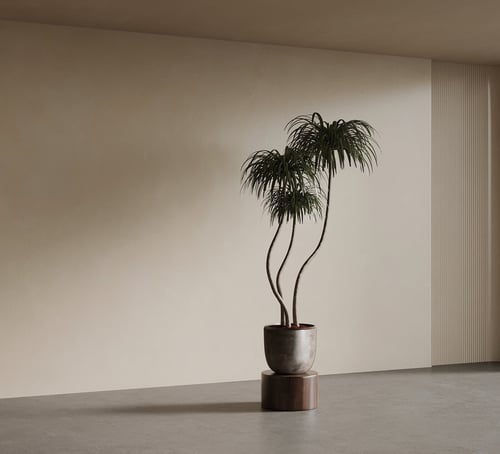 Mid Century Style Indoor Dracaena Potted Plant 3D model