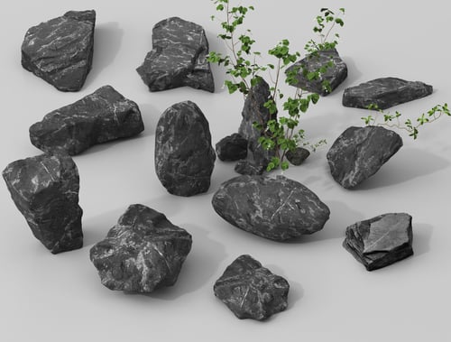 Black Landscape Stones Set with Climbing Plant 3D model