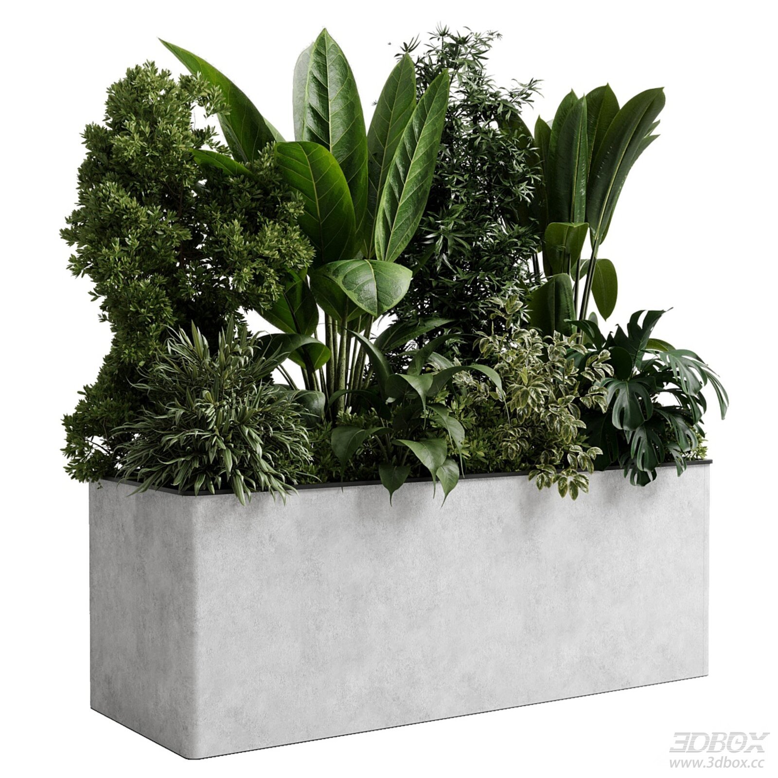 Indoor Concrete Plant Pot with Greenery 3D model - front view