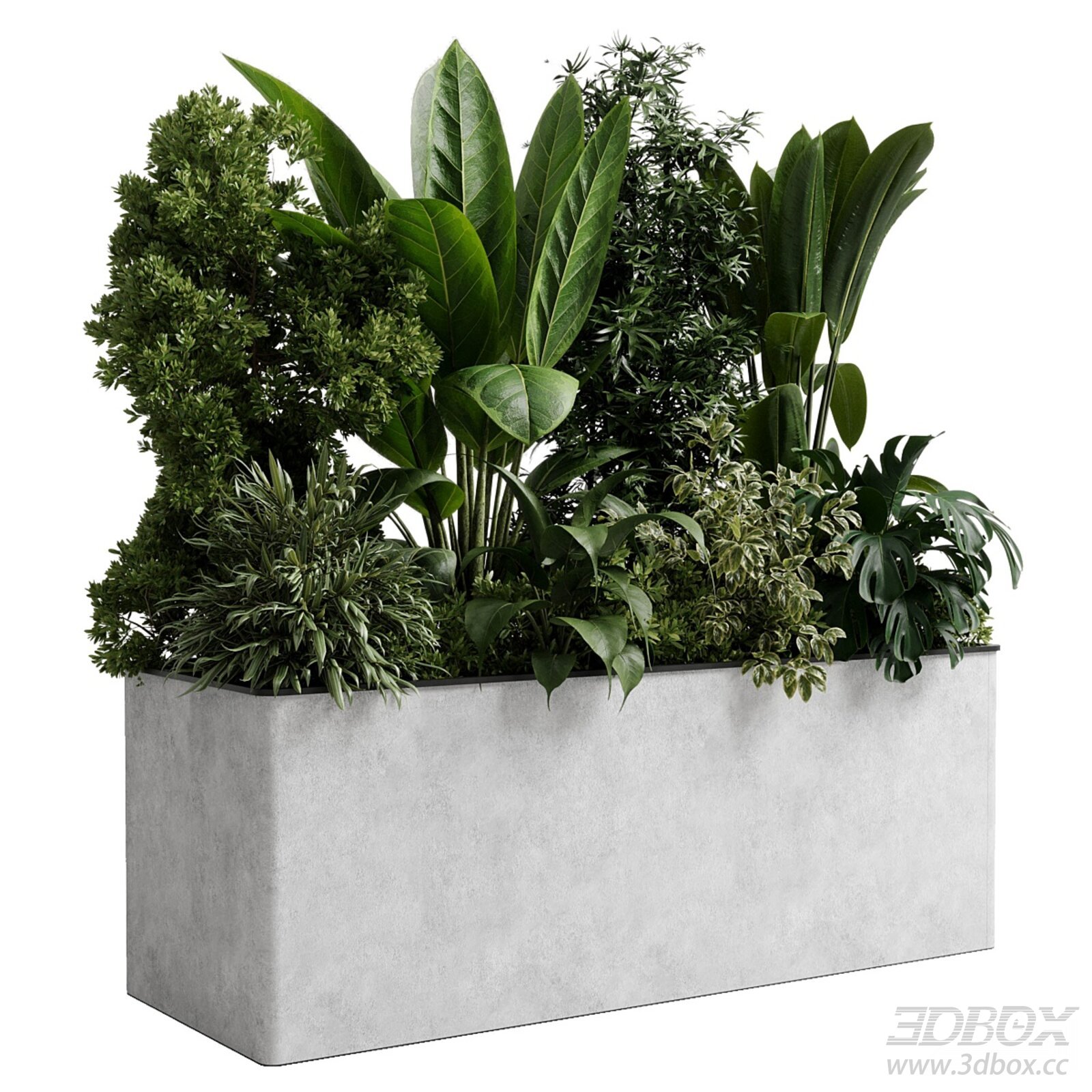 Indoor Concrete Plant Pot with Greenery 3D model - thumbnail 1