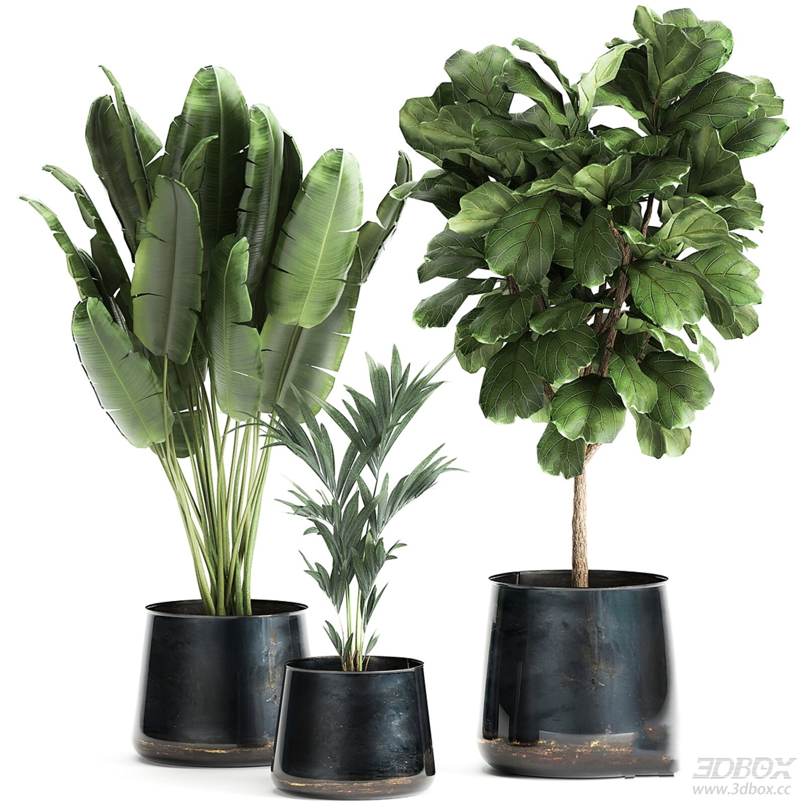 Indoor Potted Plant Set 3D model - front view