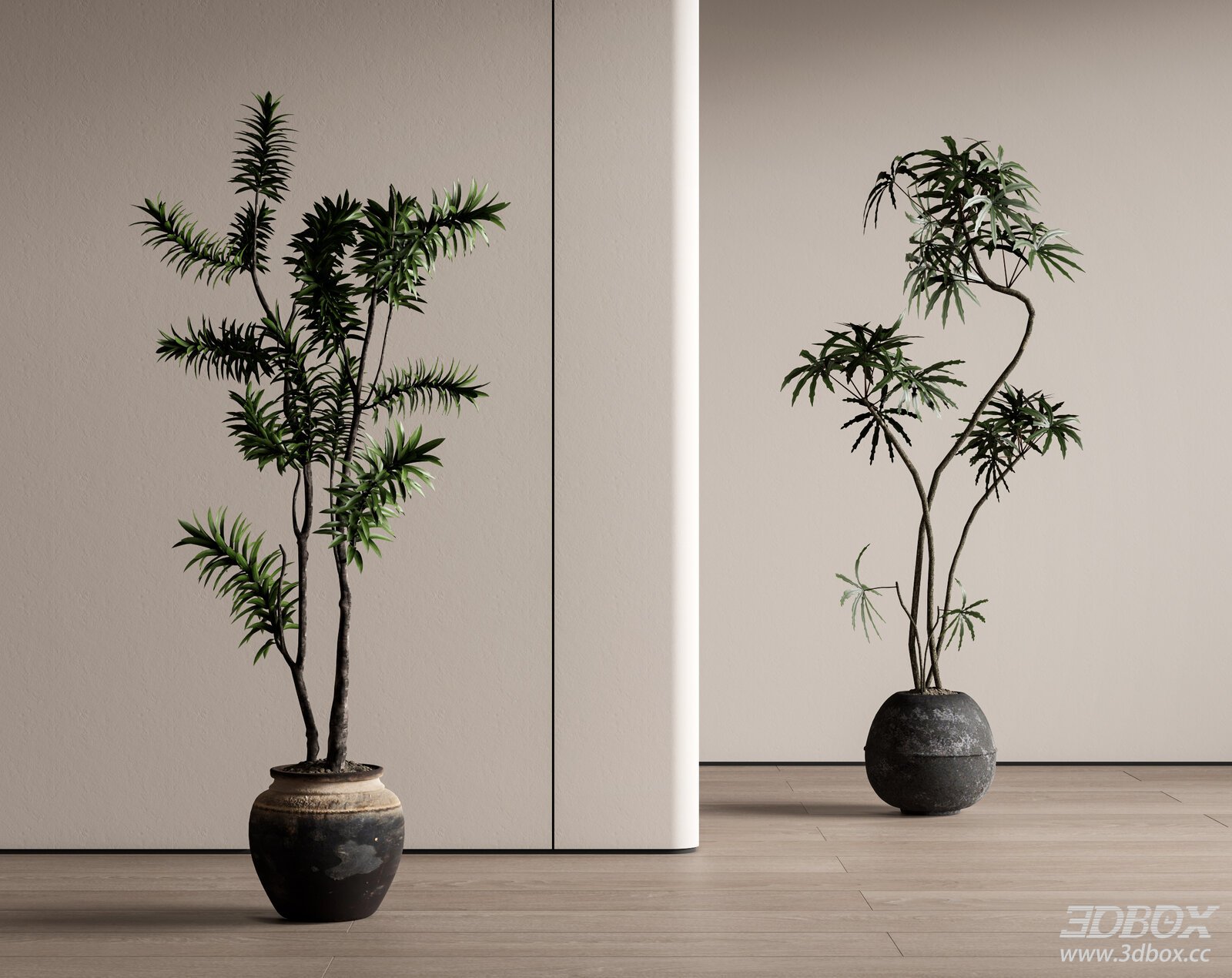 Modern Vintage Potted Plants 3D model - front view