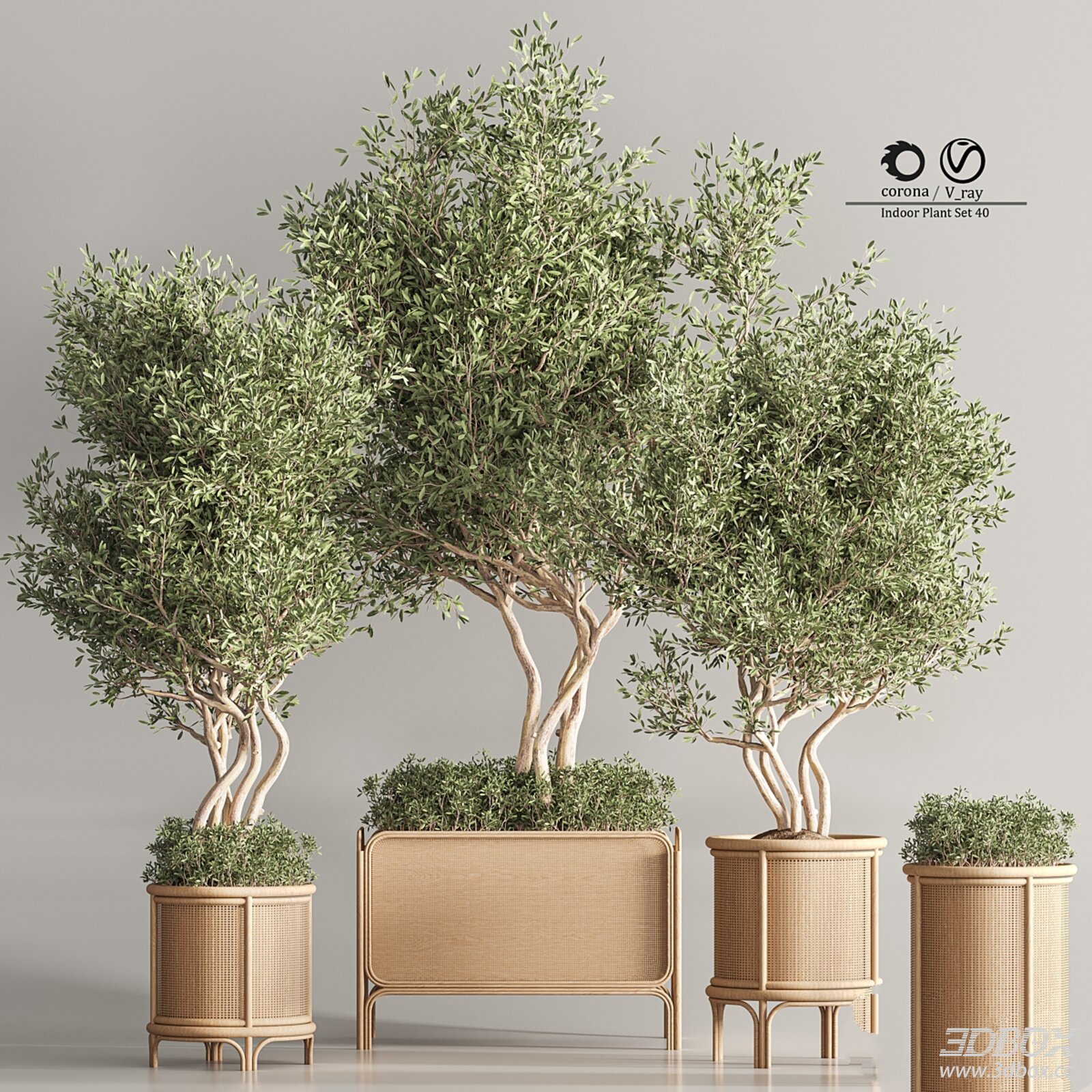 Indoor Plant Set 40 3D model - front view