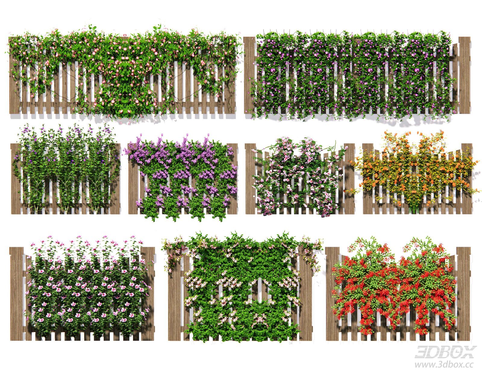 Modern Vine Rose Climbing Plant Fitowall 3D model - front view