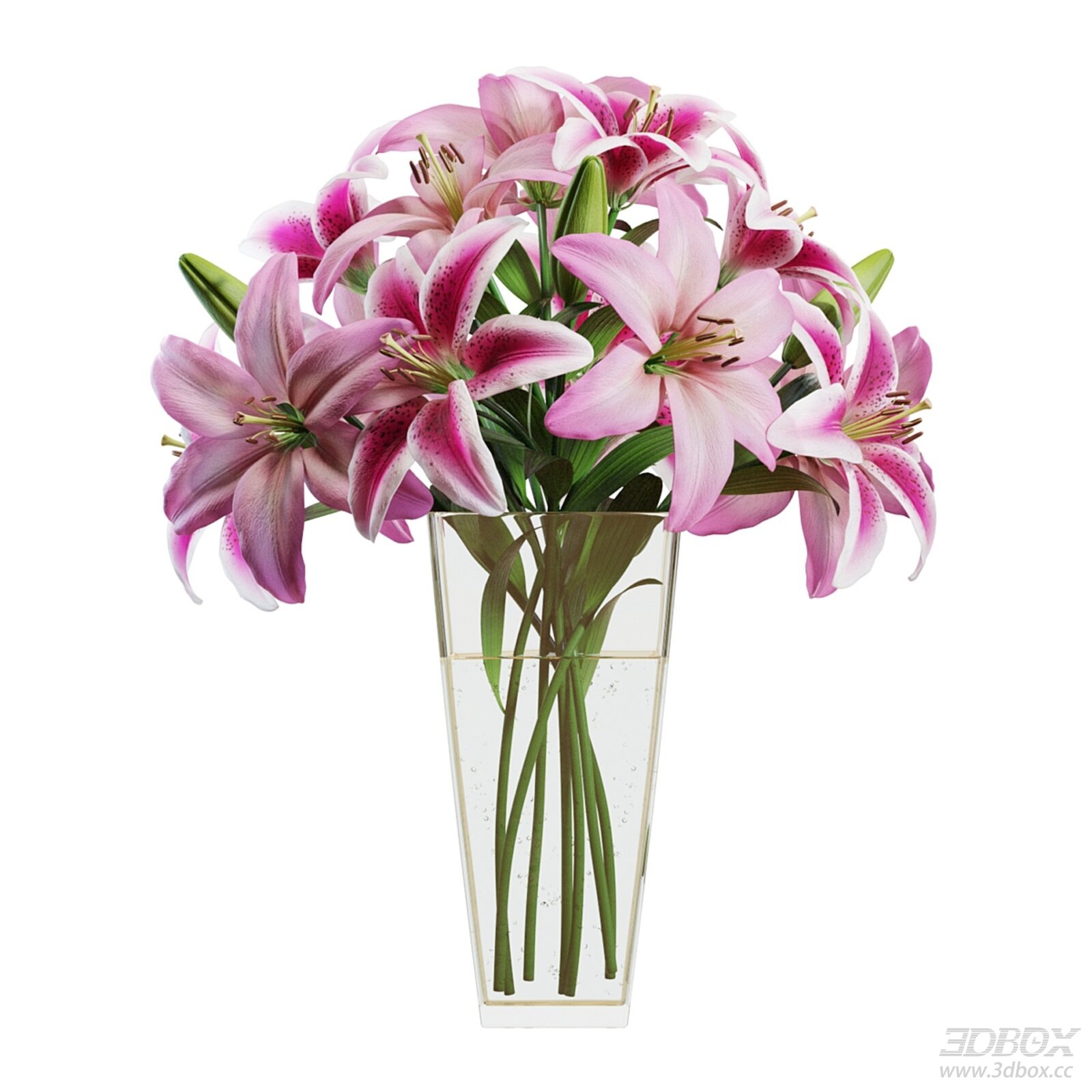 Pink Lily Bouquet in Vase 3D model - front view