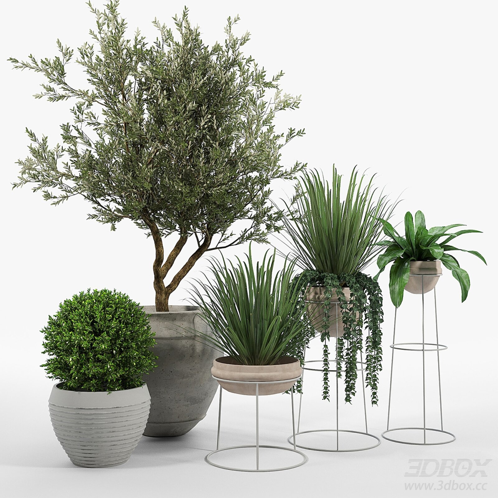 Modern Potted Plants Set 3D model - thumbnail 1