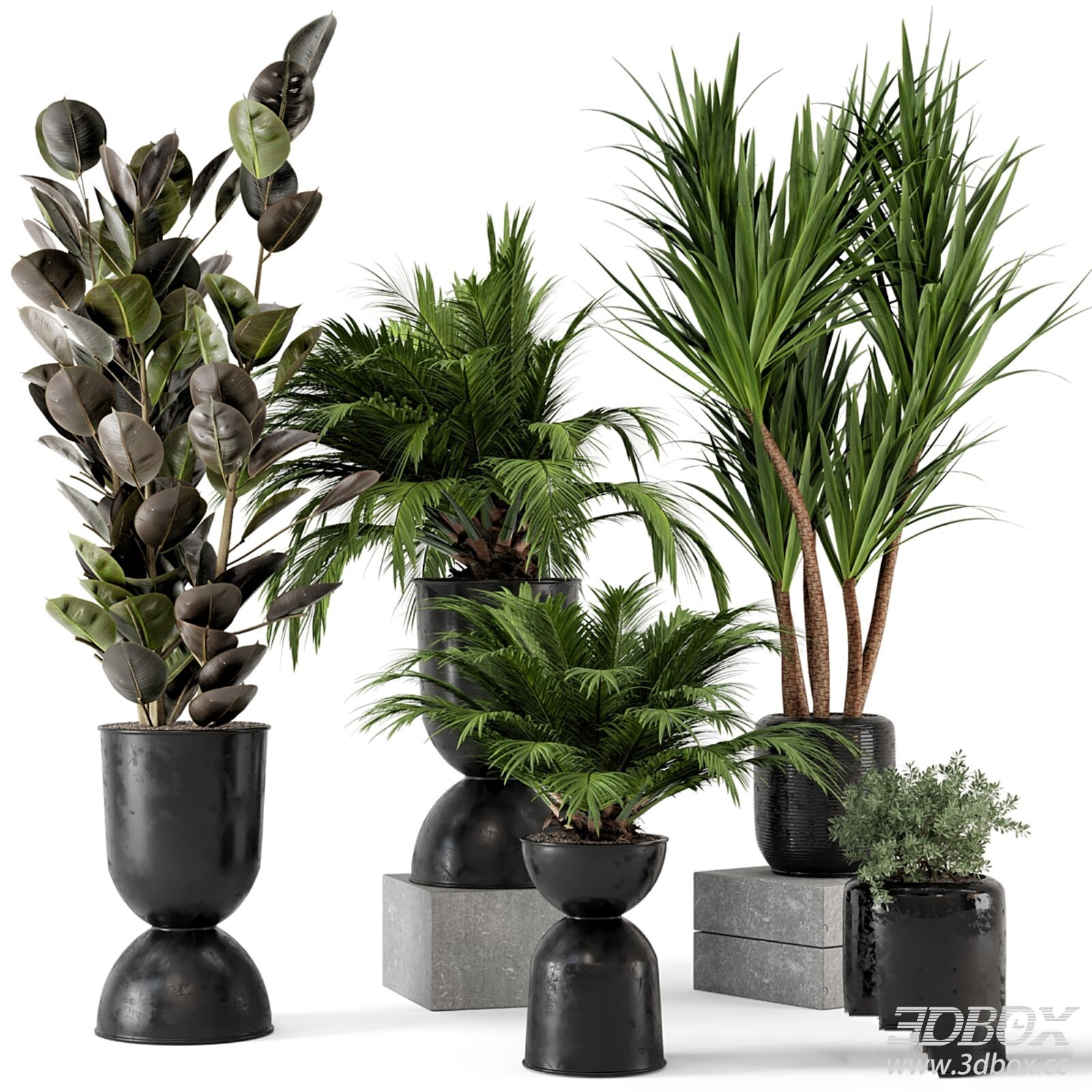 Indoor Potted Plant Set 3D model - thumbnail 1