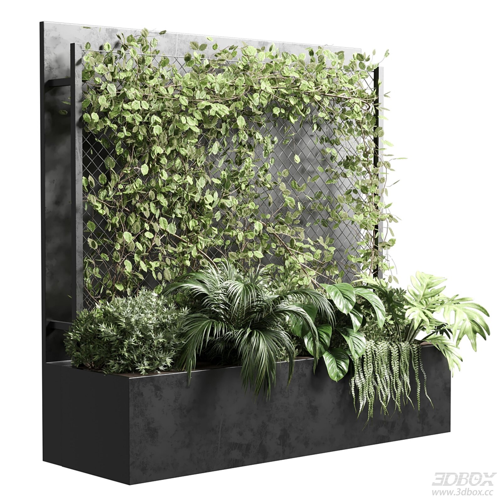 Modern Fitowall with Ivy and Plants 3D model - front view