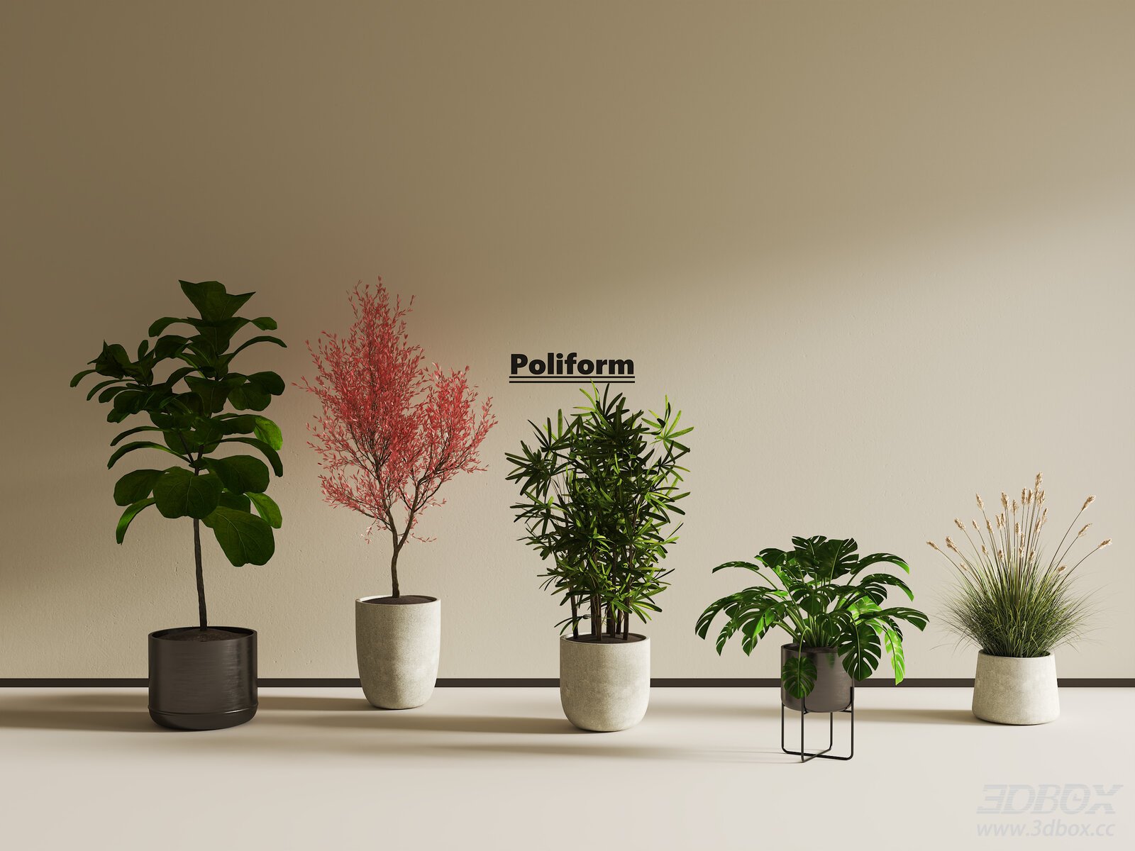 Vintage Potted Indoor Plants 3D model - thumbnail 1