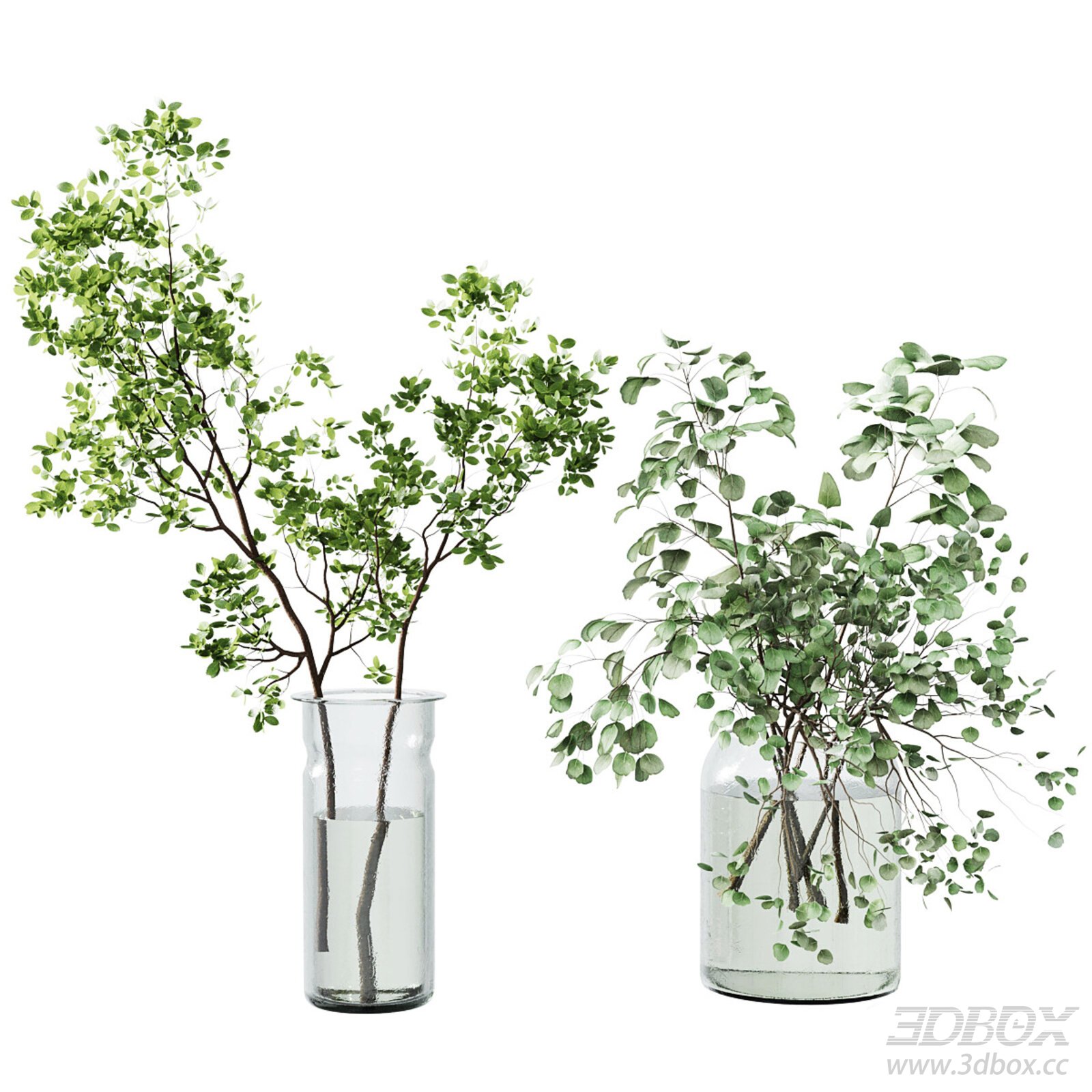 Green foliage branches in glass vases 3D model - thumbnail 1