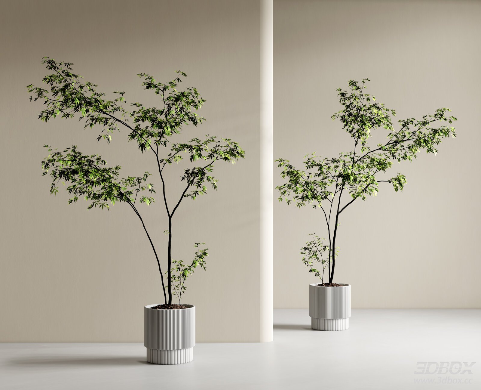 Indoor Potted Maple Green Foliage Decor Plant Set 3D model - front view