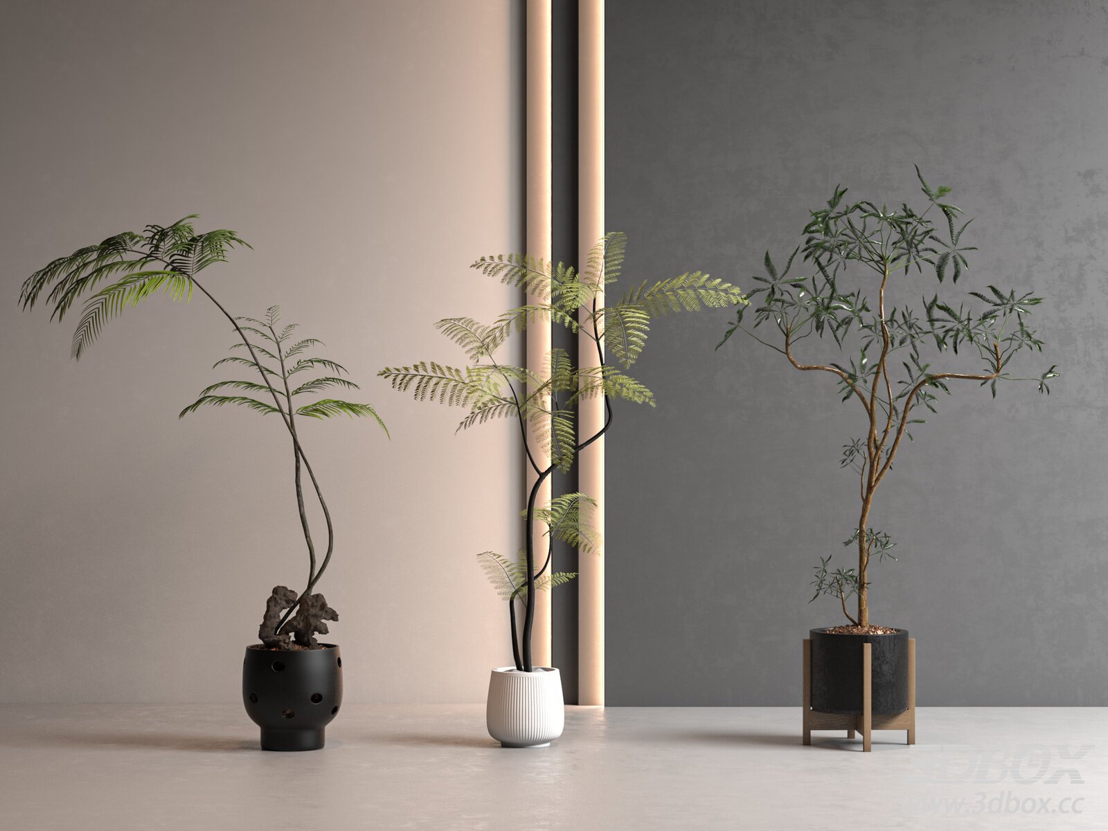 Mid Century Indoor Potted Green Plant Set 3D model - thumbnail 1