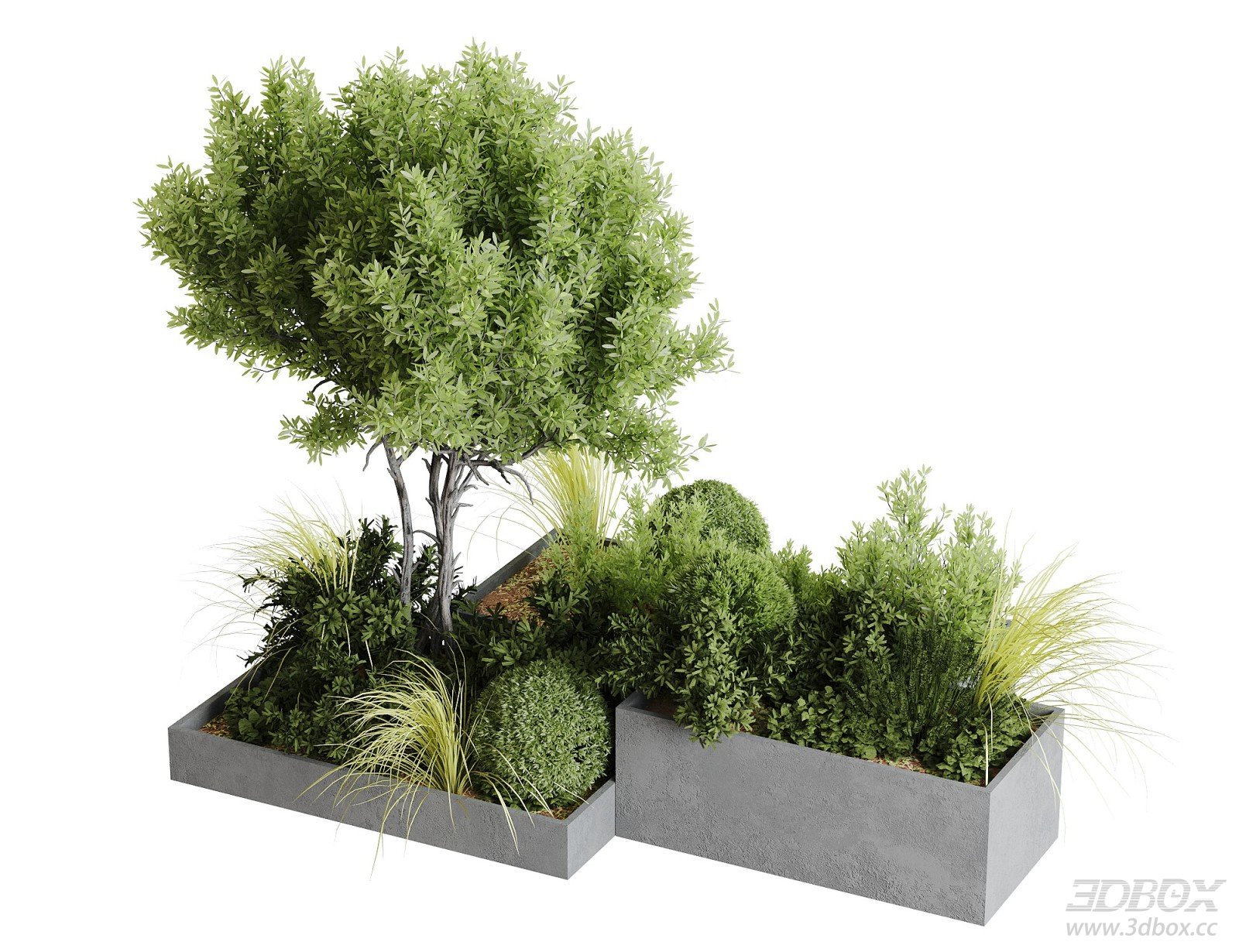 Concrete Planter Greenery Plant Set Landscape 3D model - front view