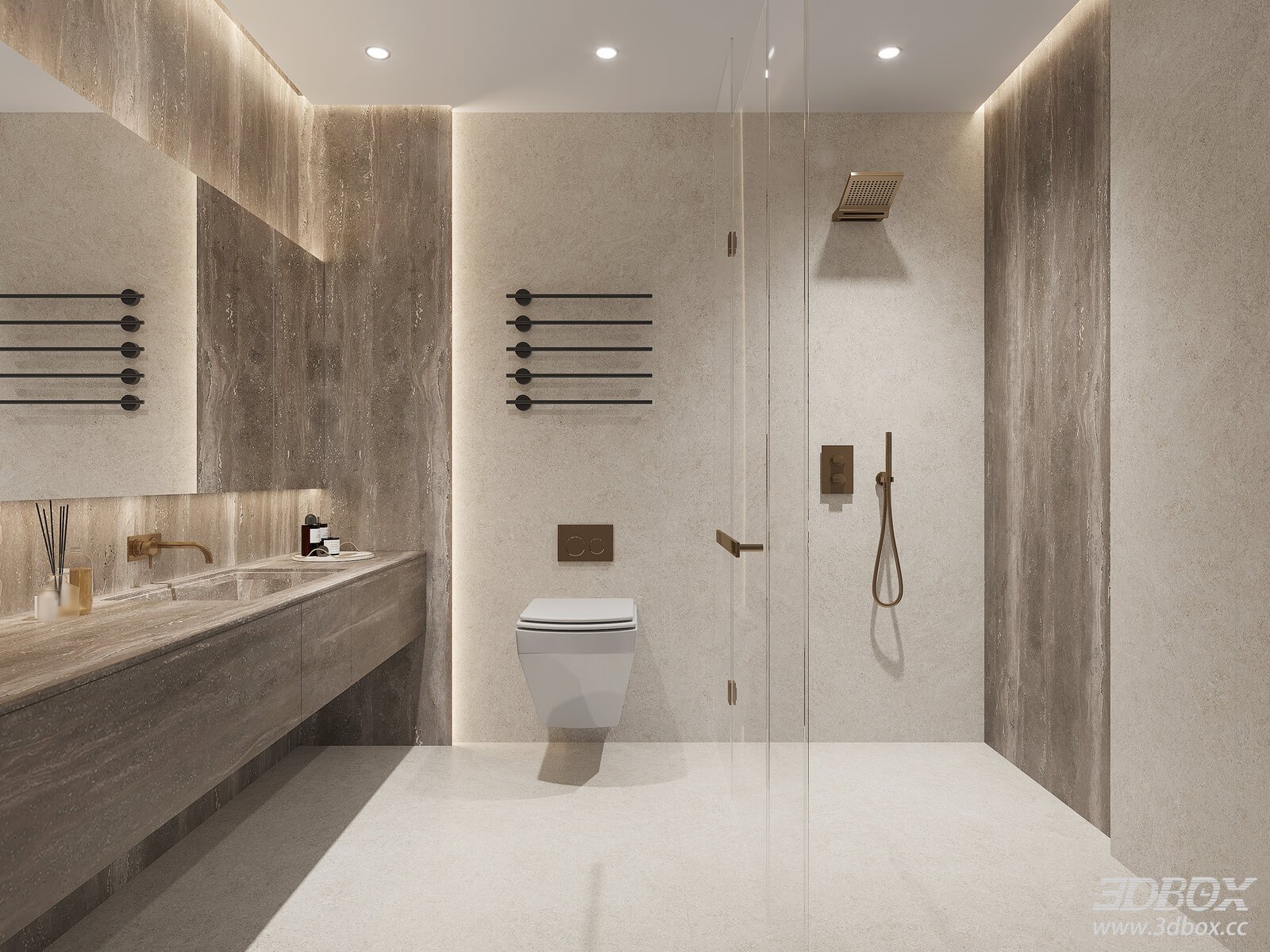 Modern Luxury Dry Wet Separation Bathroom Scene 3D model - front view