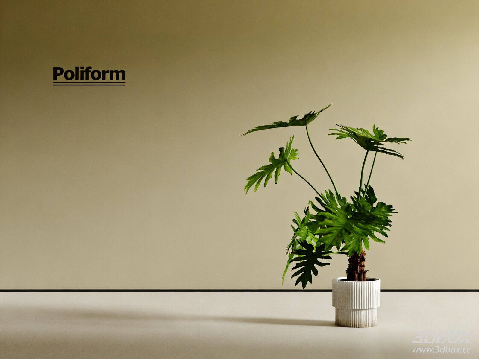 Indoor Potted Monstera Plant with Ceramic Pot 3D model - front view