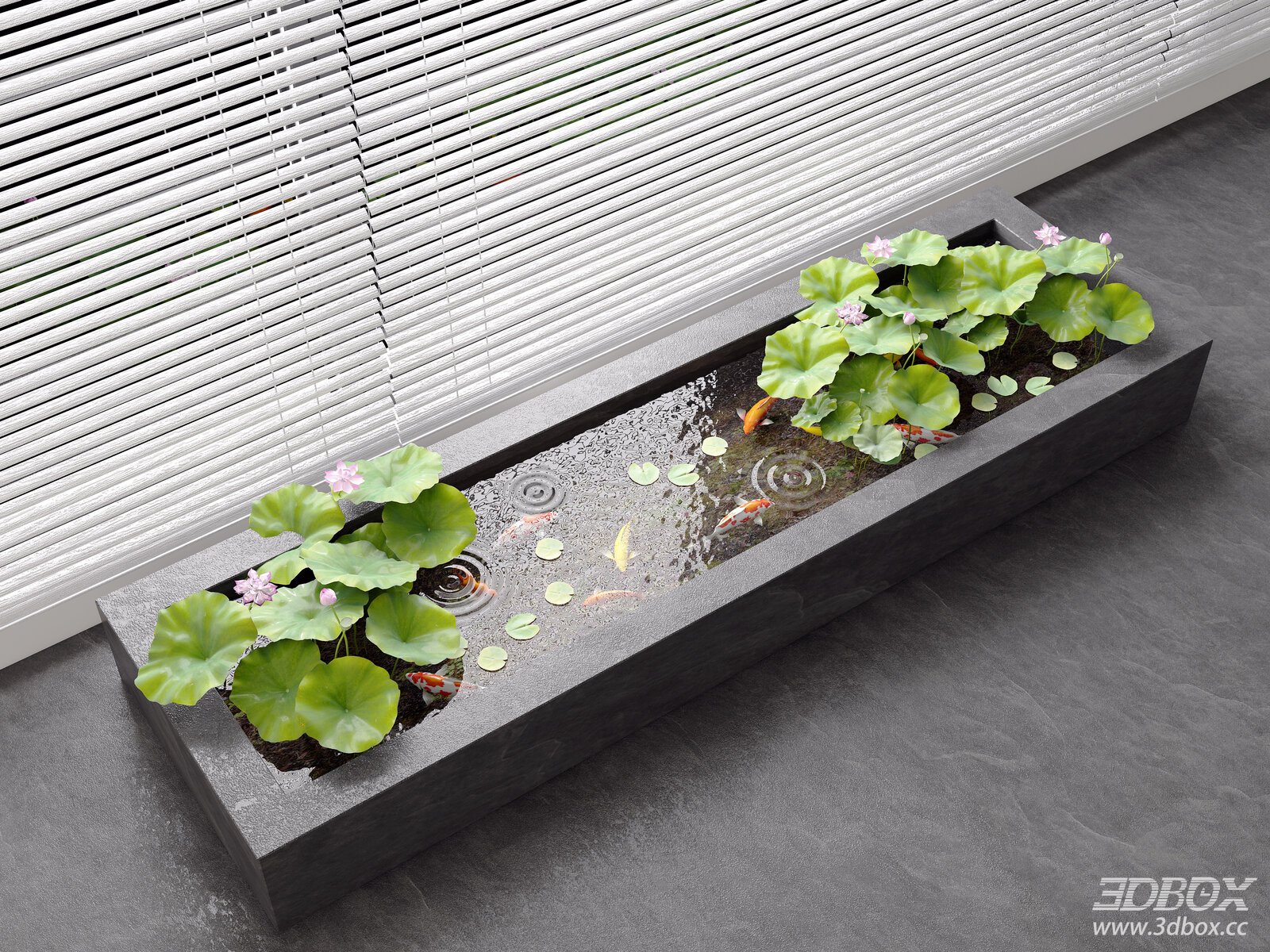 Modern Indoor Koi Pond Water Feature with Lotus Plants 3D model - front view