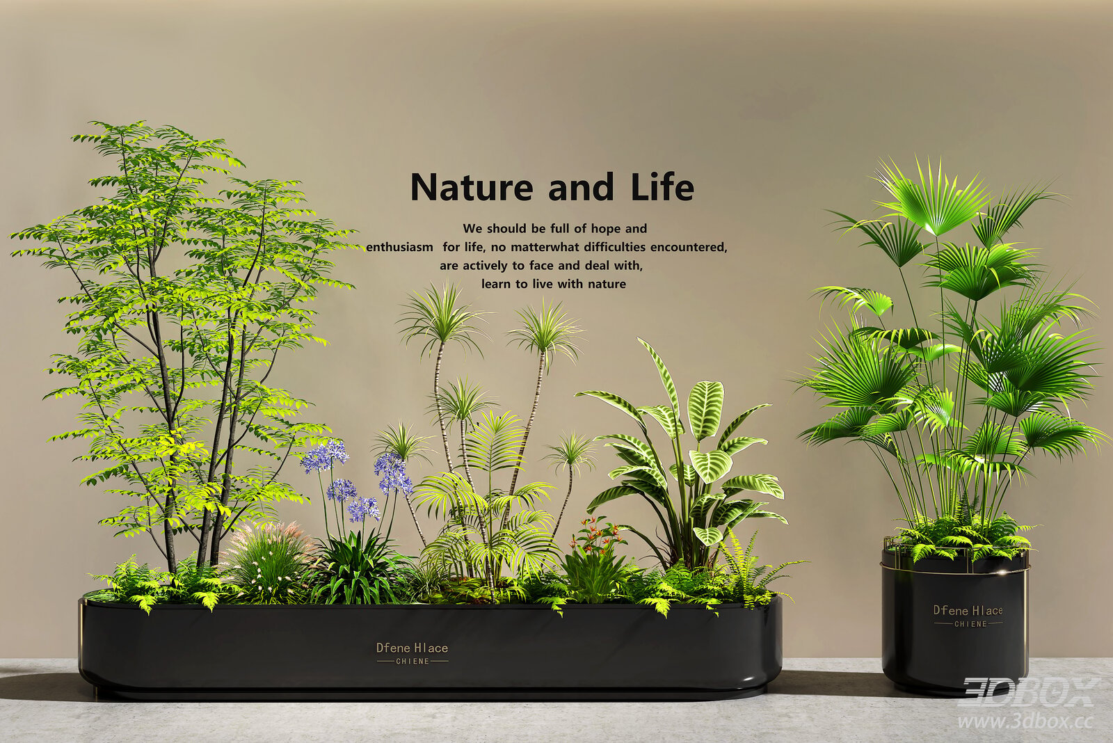 Indoor Green Plant Arrangement Planter Set 3D model - front view