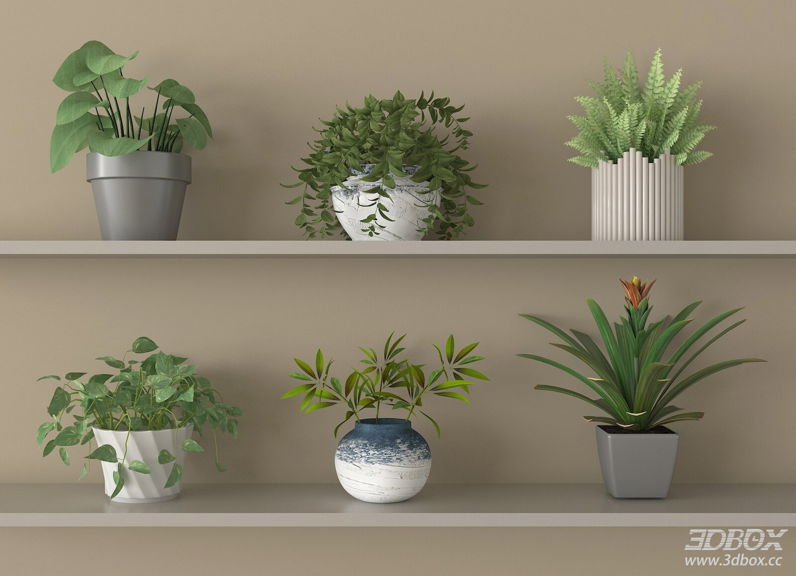 Set of Modern Potted Indoor Green Plants 3D model - front view