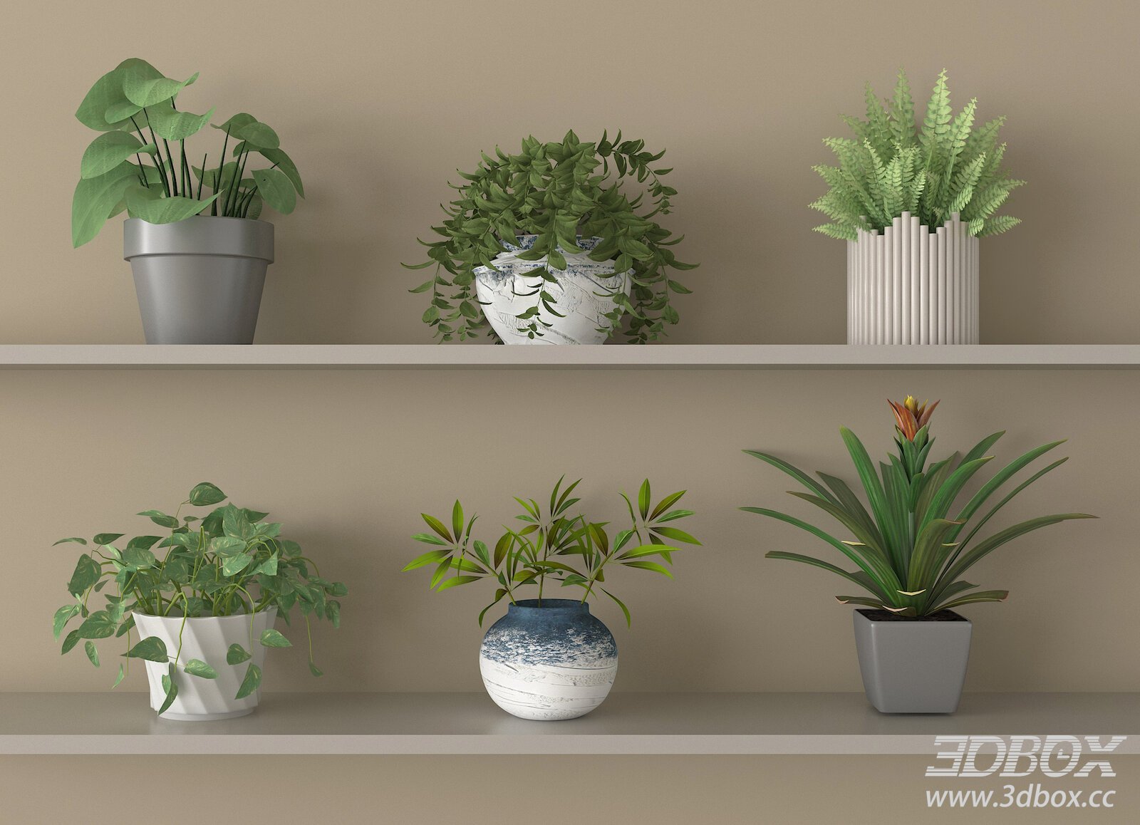 Set of Modern Potted Indoor Green Plants 3D model - thumbnail 1
