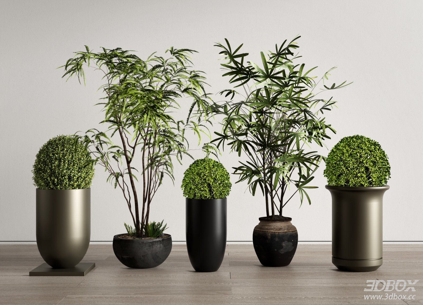 Set of Indoor Potted Green Plants with Decorative Planters 3D model - front view