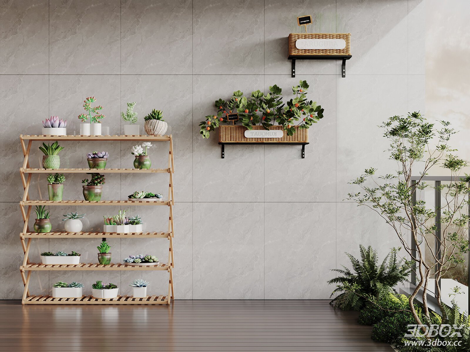 Wooden Plant Rack with Succulents and Wall Mounted Planters 3D model - front view