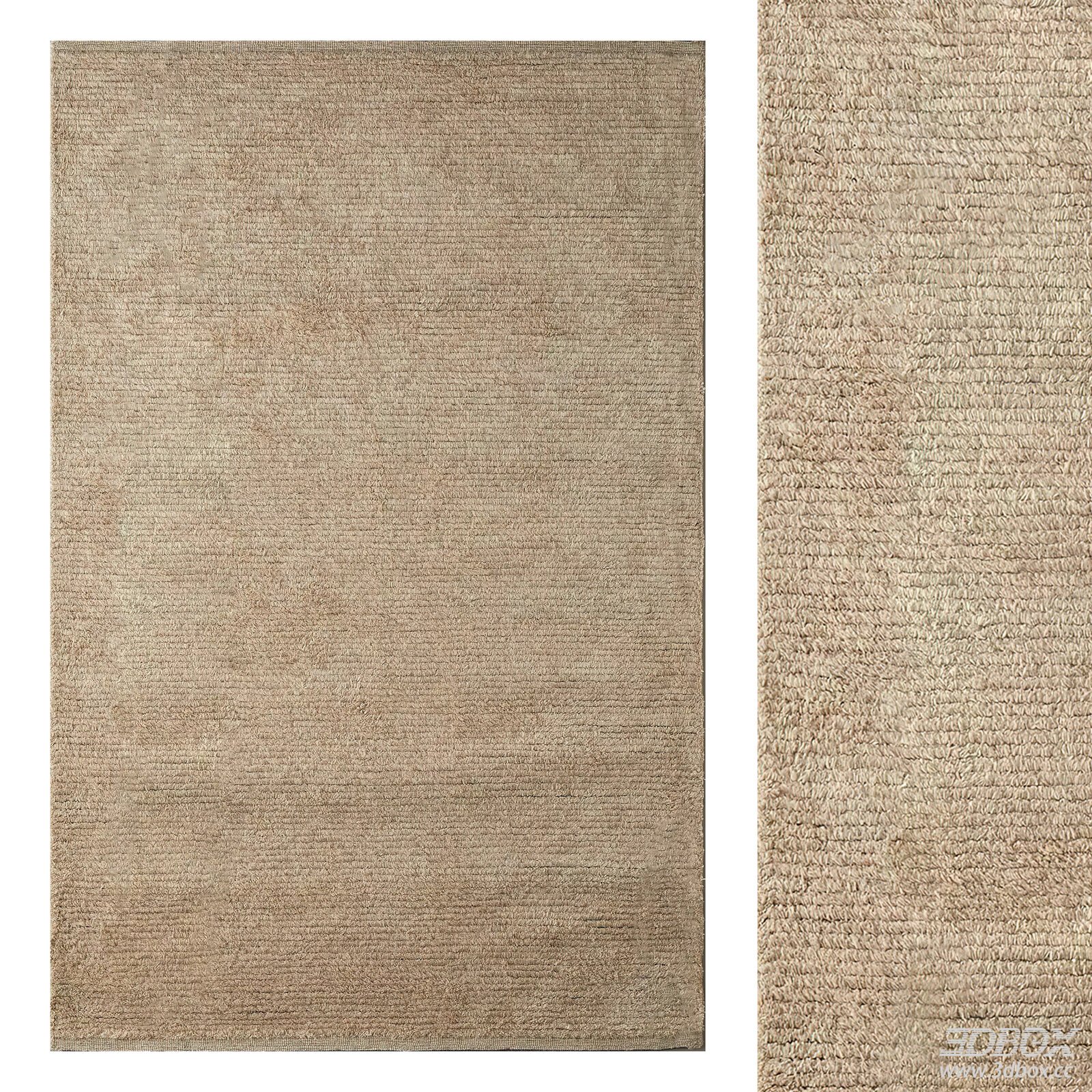 Modern Beige Plush Carpet 3D model - front view