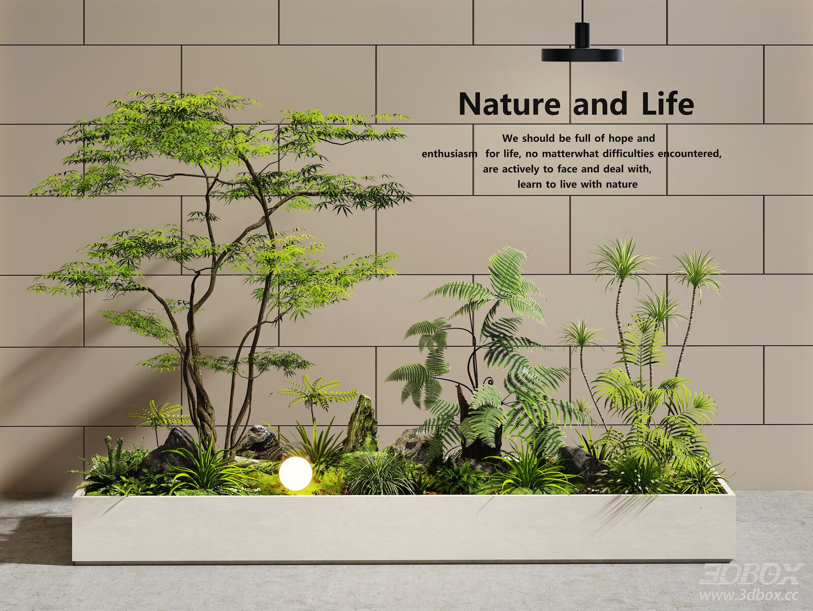 Modern Indoor Greenery Landscape Plant Arrangement 3D model - front view