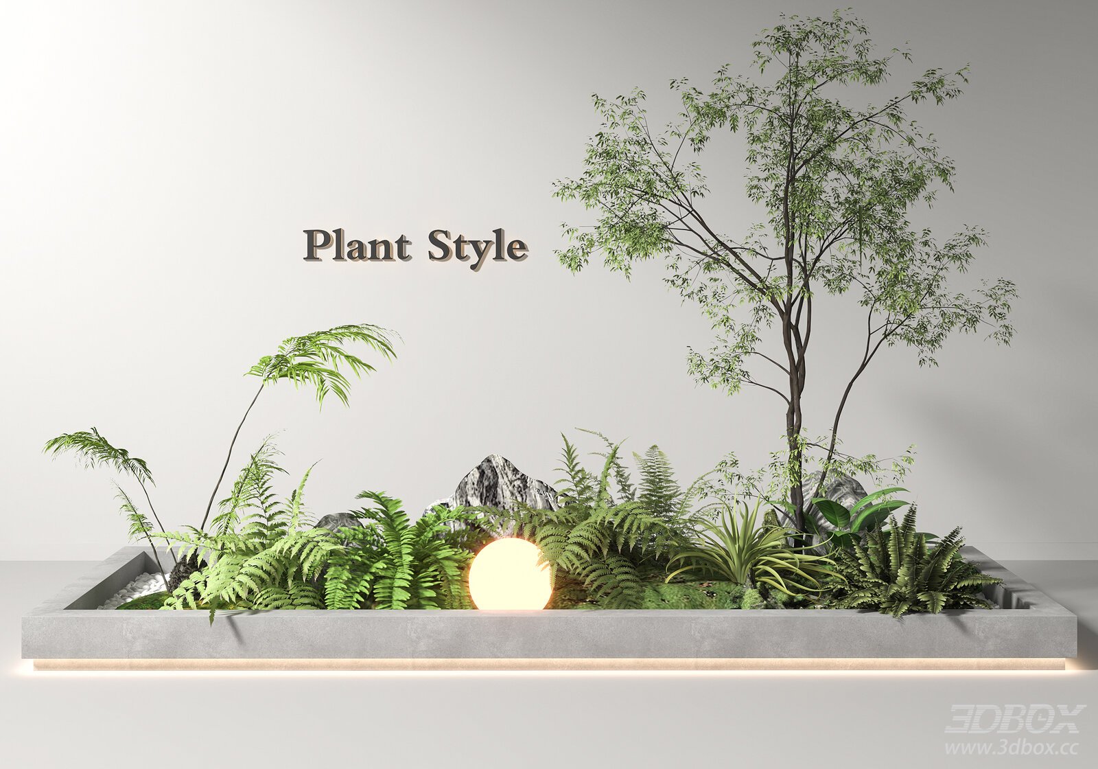 Indoor Fern Landscape Plant Arrangement Decor 3D model - front view