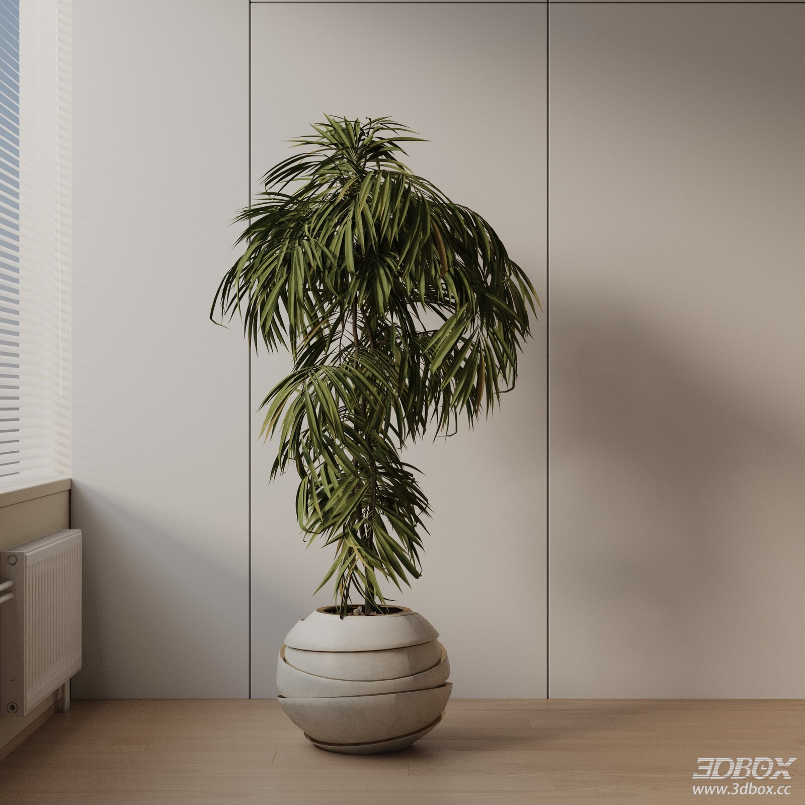 Modern Potted Indoor Palm Plant with Concrete Planter 3D model - front view