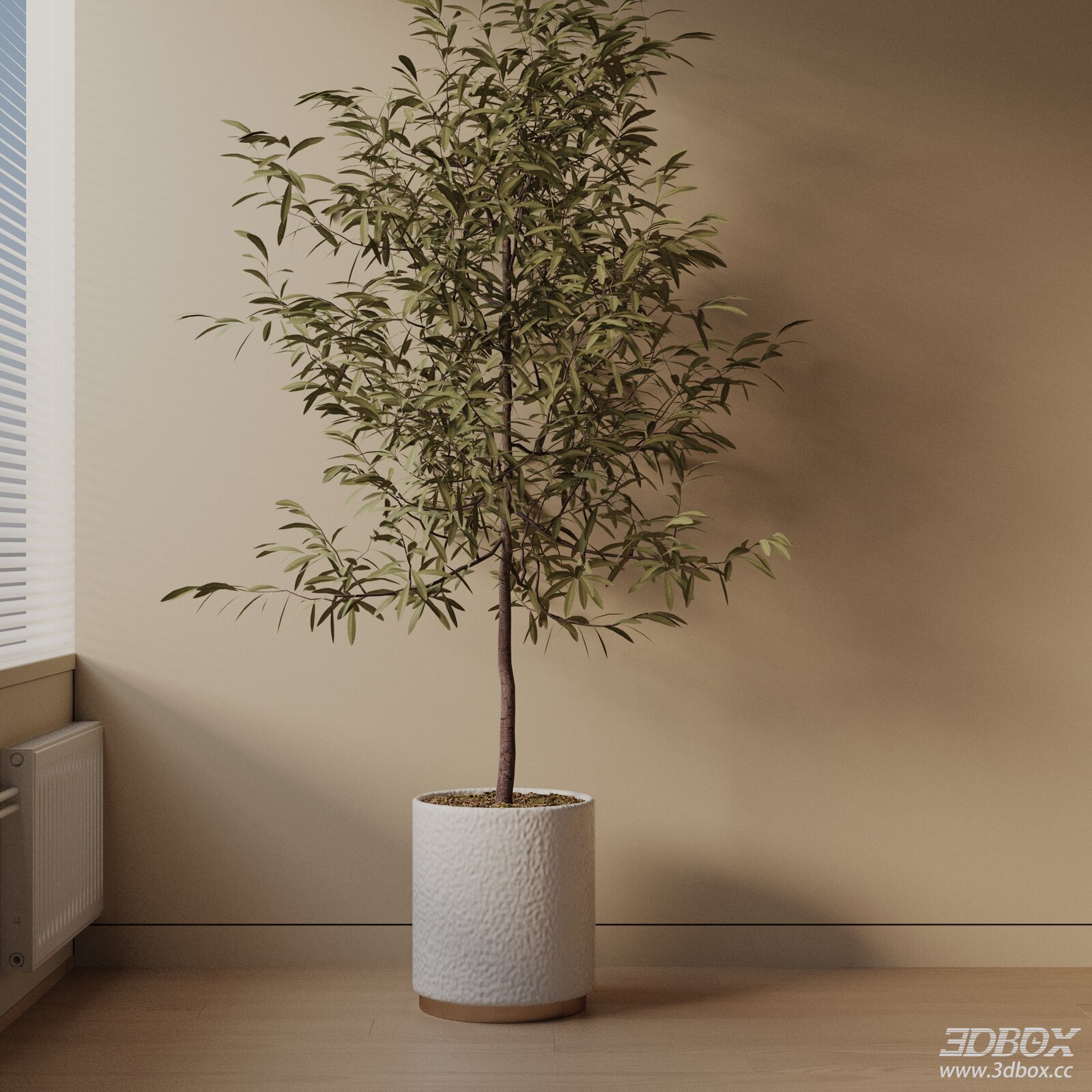 Modern Potted Indoor Tree Plant 3D model - thumbnail 1