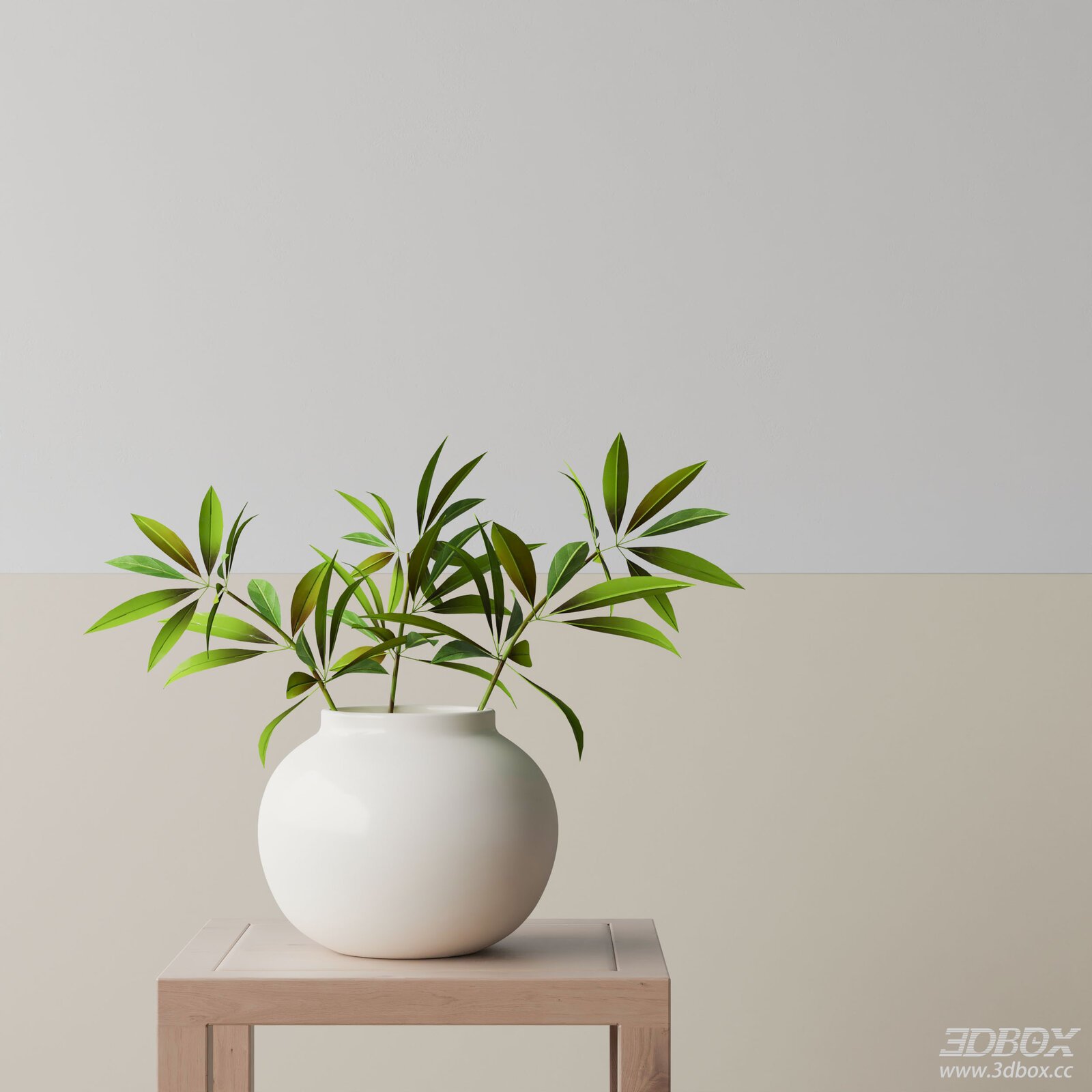 Modern Indoor Plant with White Ceramic Vase 3D model - front view