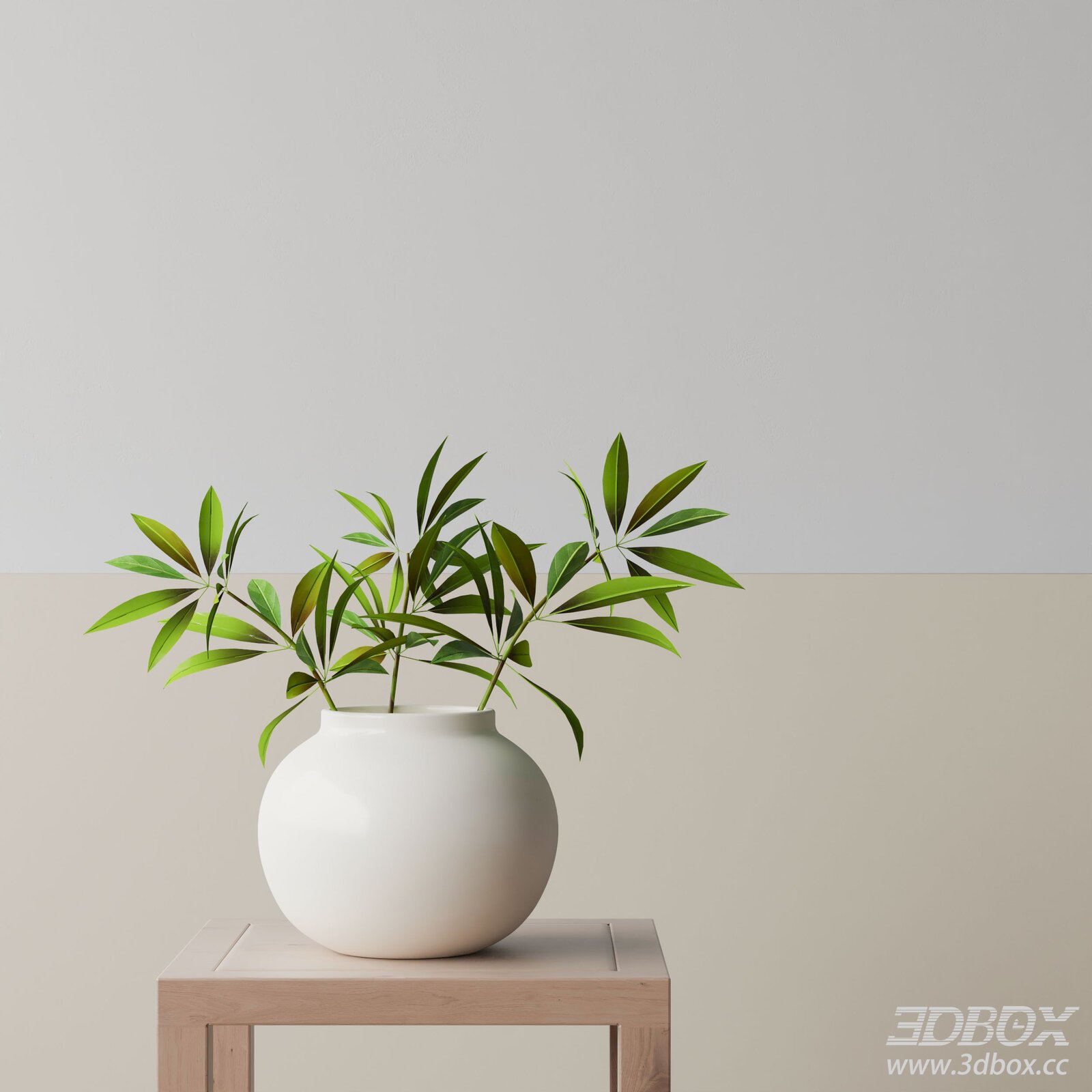 Modern Indoor Plant with White Ceramic Vase 3D model - thumbnail 1