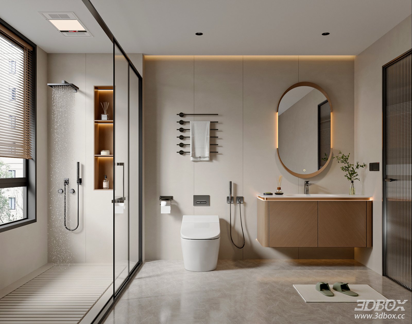 Modern Minimalist Dry Wet Separation Bathroom Scene 3D model - front view