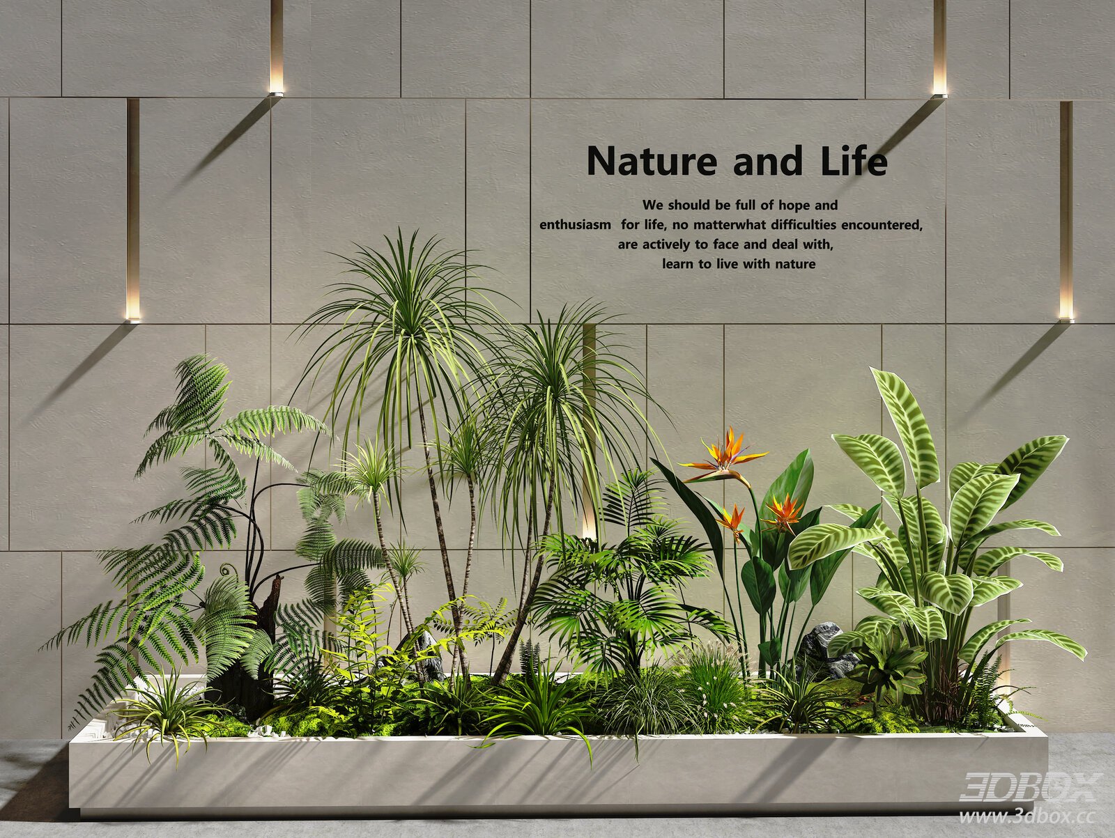Indoor Tropical Plant Arrangement Planter Greenery Decor 3D model - front view