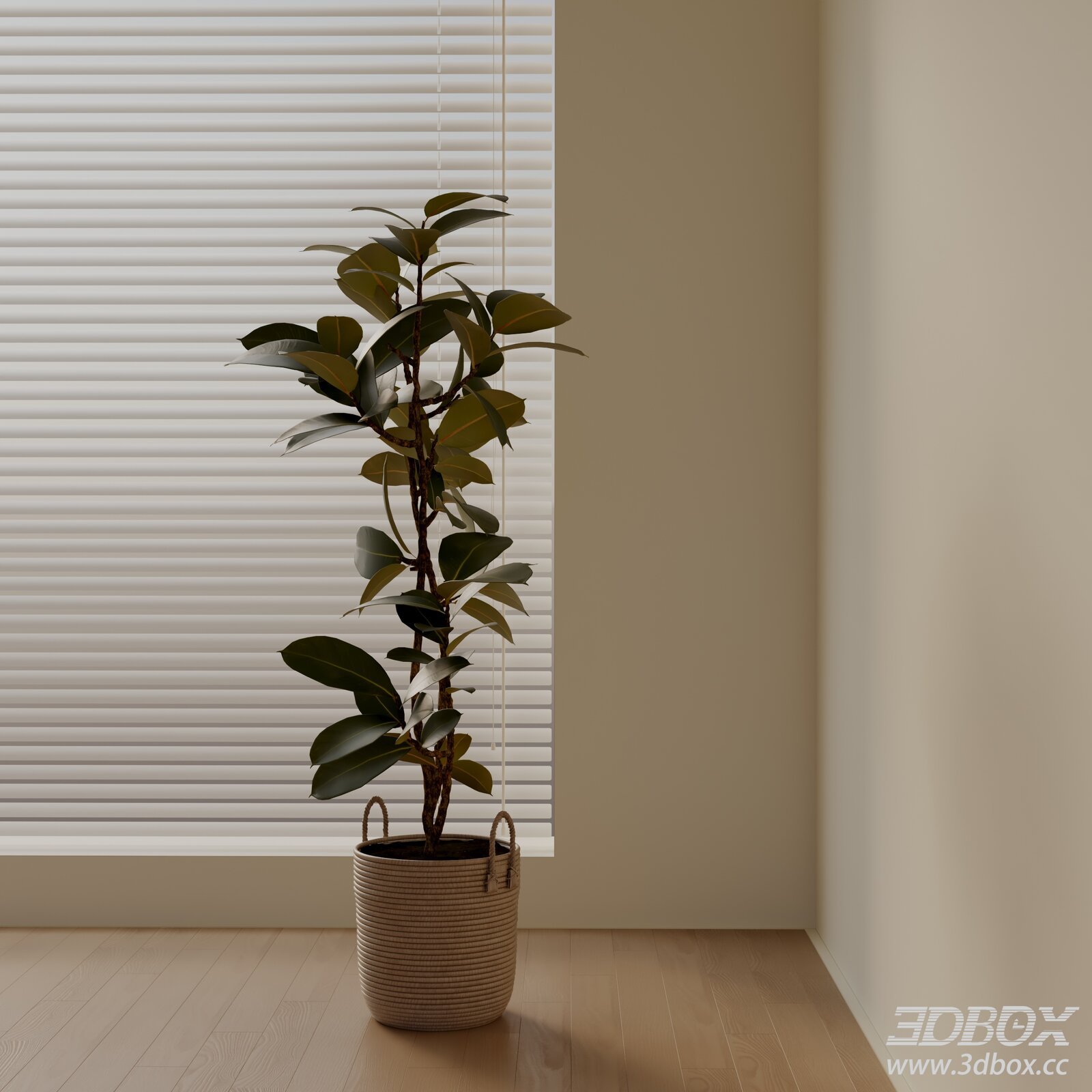 Modern Ficus Elastica Potted Indoor Plant 3D model - thumbnail 1