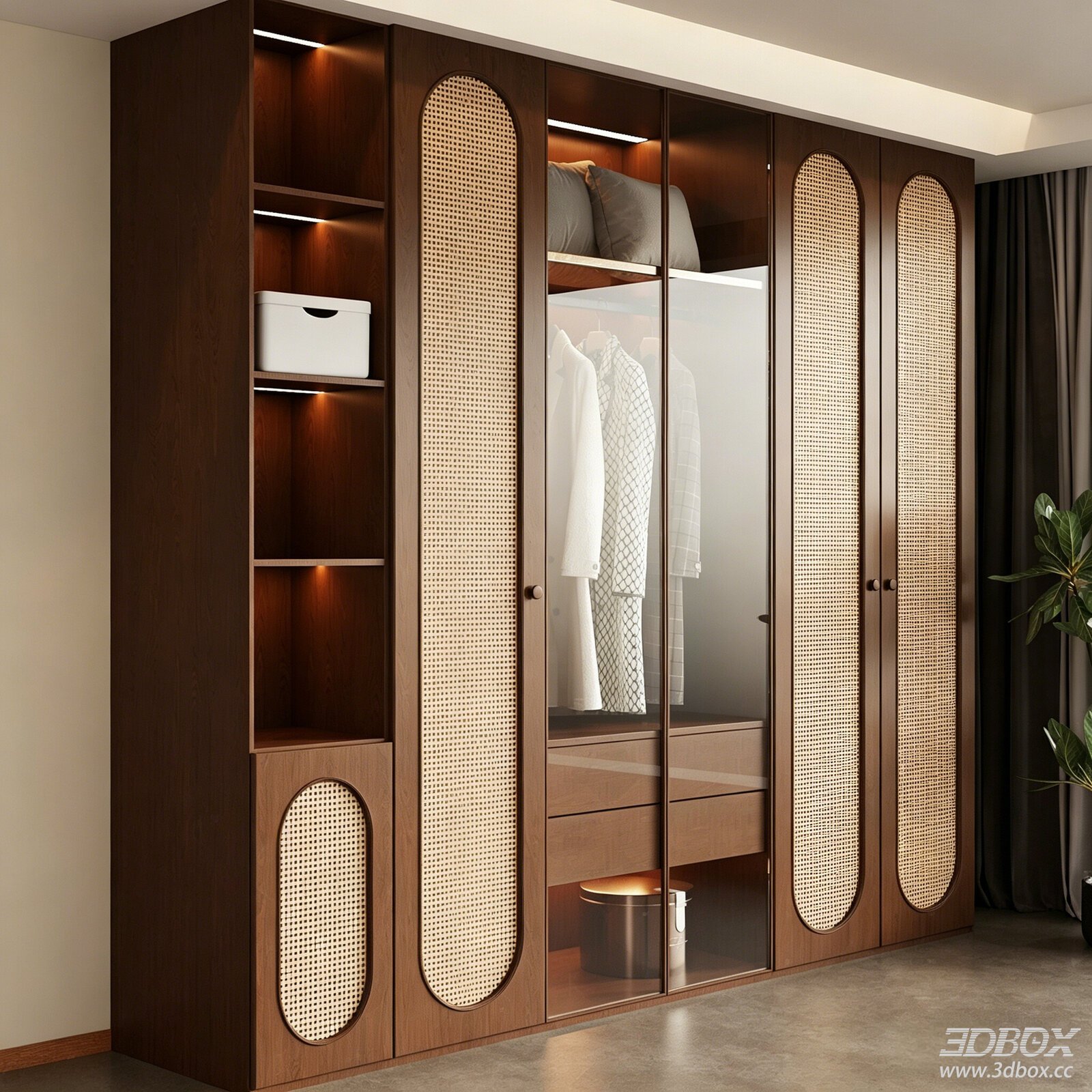 Vintage Mid-century Rattan Walnut Wardrobe with Glass Door 3D model - front view