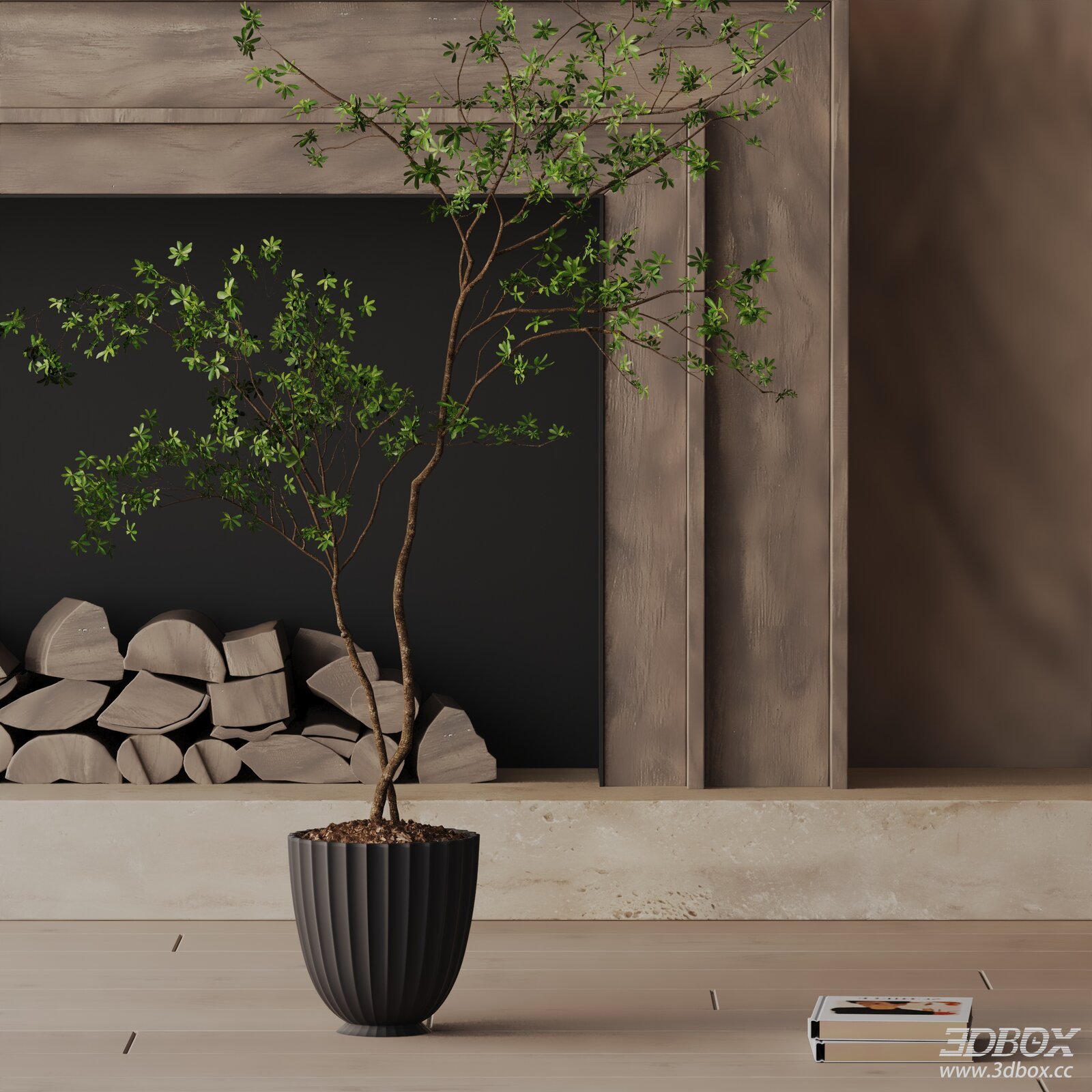 Modern Indoor Potted Green Tree Plant Decor 3D model - front view