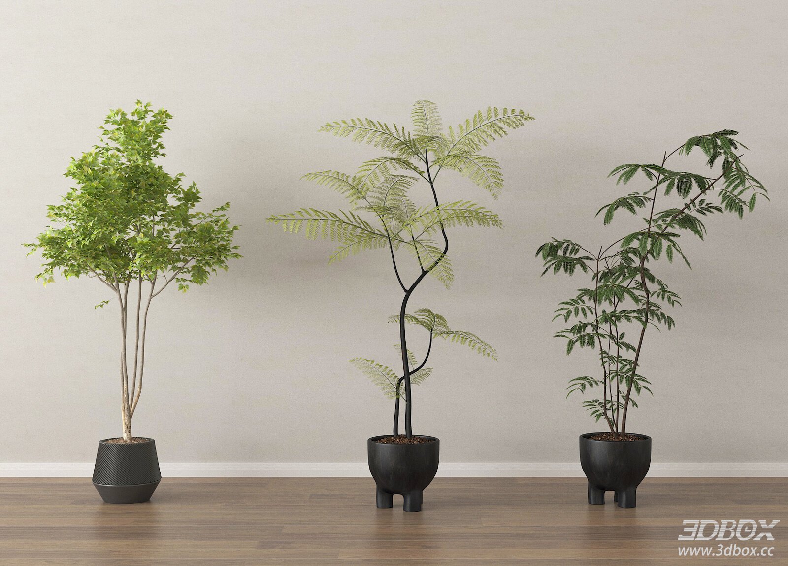 Set of 3 Modern Potted Indoor Decorative Plants 3D model - front view