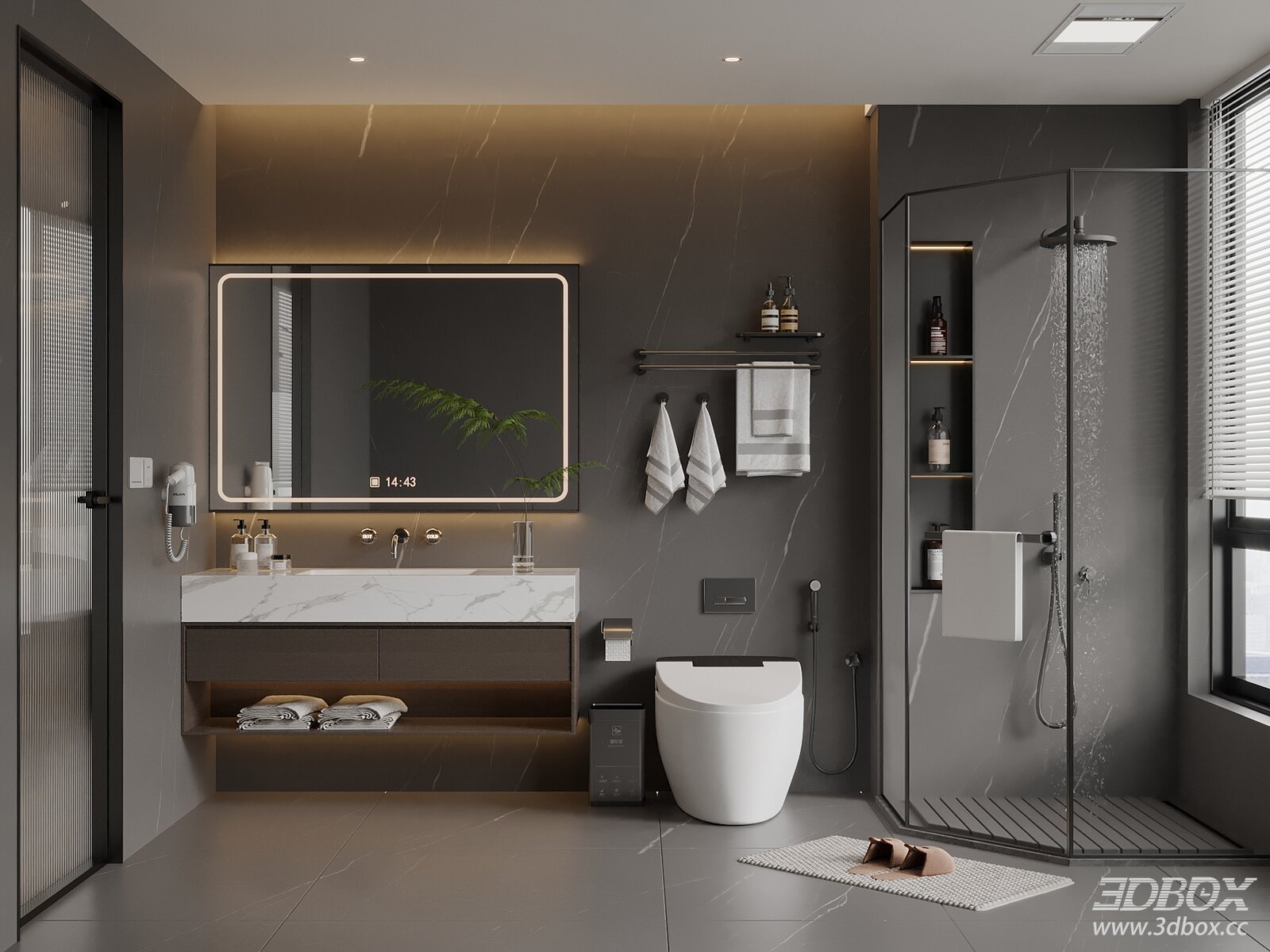 Modern Italian Style Dry Wet Separation Bathroom Scene 3D model - front view